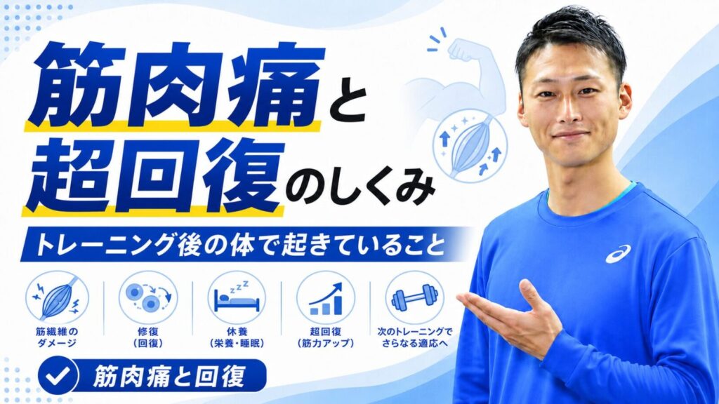 筋肉痛と超回復のしくみ・トレーニング後の体で起きていること｜東海市・太田川駅のパーソナルトレーニングジムTRAD